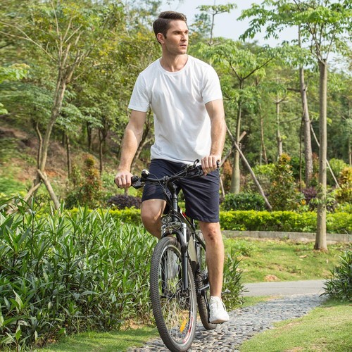 26 Zoll E-Mountainbike 21-Gänge 250W 48V Elektrofahrrad Herren Damen E-Bike NEU - Bild 11 von 11