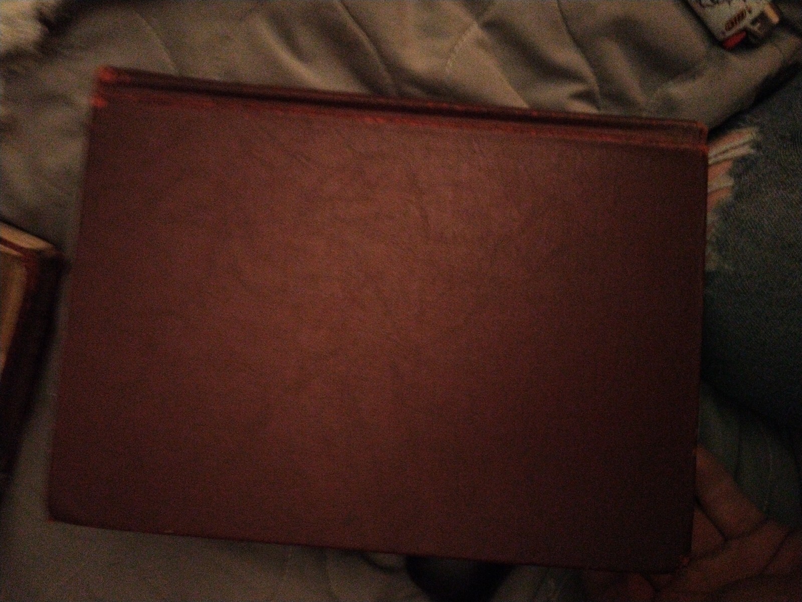Picture 13 of 22