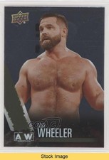 2021 AEW All Elite Wrestling Rainbow Foil Dash Wilder Cash Wheeler #31 READ x9t