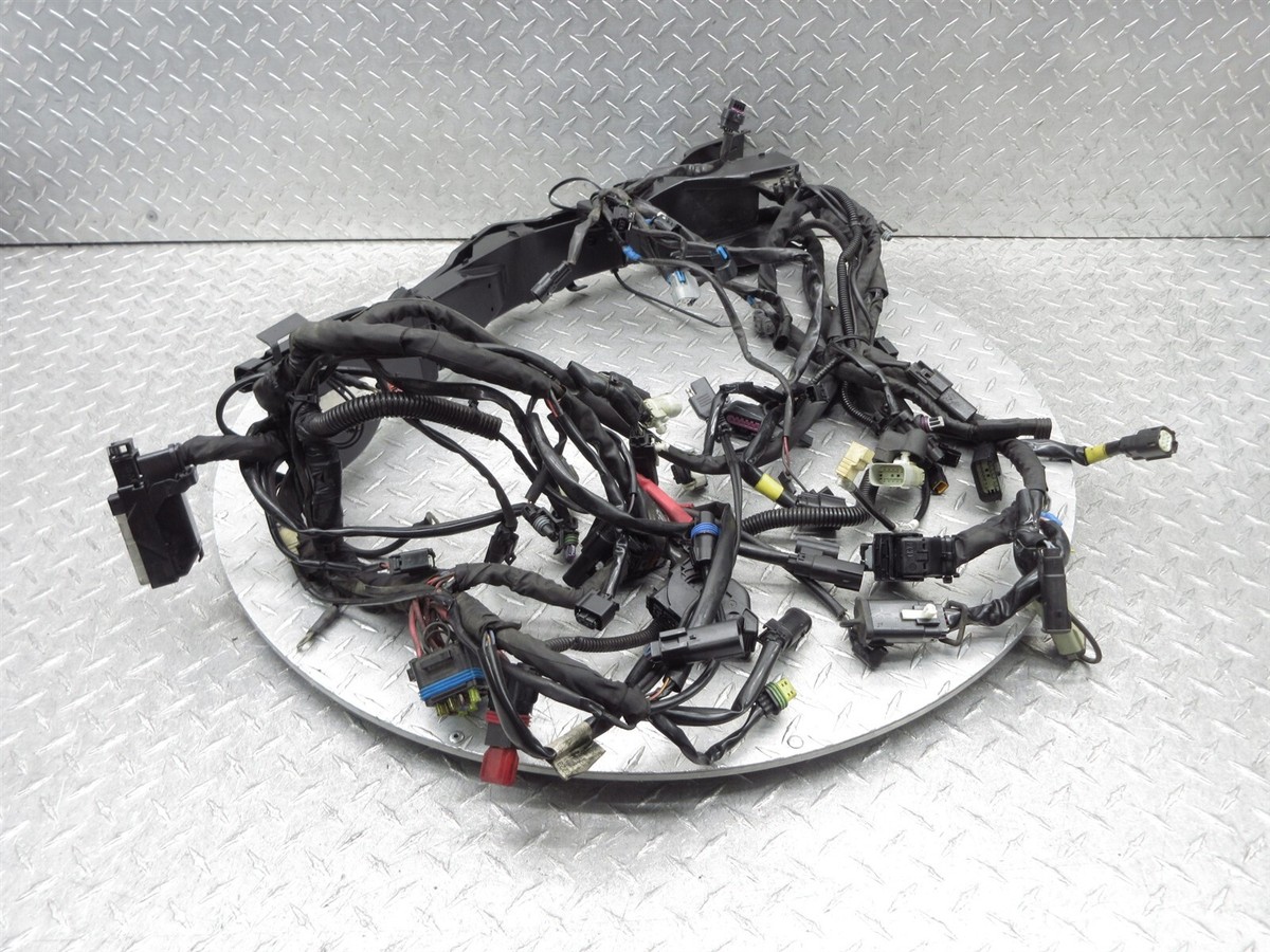 2023 Harley Davidson Road Glide FLTRX ABS Main Engine Wiring 