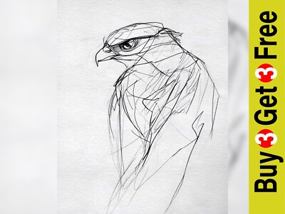 Regal Hawk Zeichnung 10''x8'' Druck auf mattem Papier | Elegante Linienkunst Vogelporträt