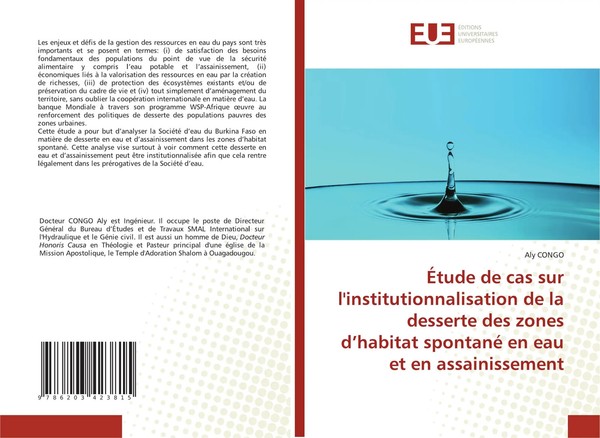 Aly Congo | ÉTude De Cas Sur L'institutionnalisation De La Desserte Des Zones...-image