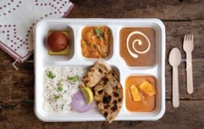 Disposable, Biodegradable,Wedding Party Tray Plates Punjabi Thali 5 section 25pc