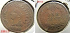 Indian Head Cent 1891 F