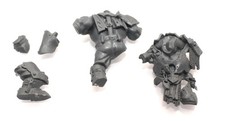 Warhammer Age of Sigmar Orruk Warclans Ironjaws 'Ardboy Body J