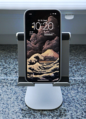 iPhone 13 128GB/100%