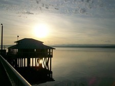 Land 4 Sale Anderson Island Near Tacoma /Seattle WA! $200 down/$200 per month