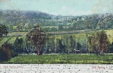 COLD SPRING VALLEY LONG ISLAND NEW YORK, Long Island Sound, Shipping, Buggy, UDB