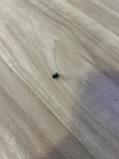 Winchester Model 97/ 1897 Shotgun, Magazine Plug Screw, New Original, W-1502