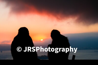 Travel  Documentary Photography from around the world (A3)