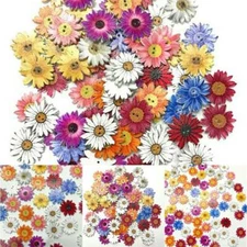 50Pcs/Lots Wooden Buttons Sewing 2 holes Scrapbooking Button Crafts Flower Shape
