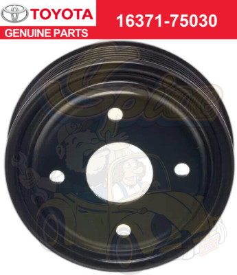 Kit Ventola E Puleggia Originale Hydro-Gear 71833 Per Cambio Idrostatico