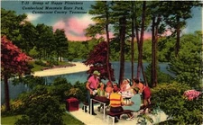 Vintage Postcard- Group of Happy Picnickers, Cumberland Mountain Sta Early 1900s