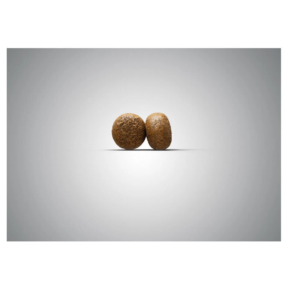 2 x 12,5 kg Josera Surf & Turf Junior Trockenfutter für mittlere u. große Hund - Bild 2 von 3