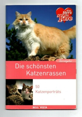 %%%%%% Die schönsten Katzenrassen Ein Herz für Tiere