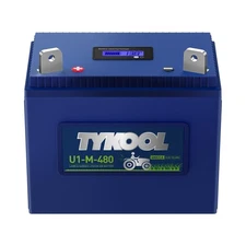 TYKOOL 480CCA, Group U1 Lithium LiFePO4 Lawn Mower Battery,Garden Tractor Bat...