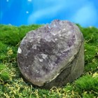 Bild 8 von 12