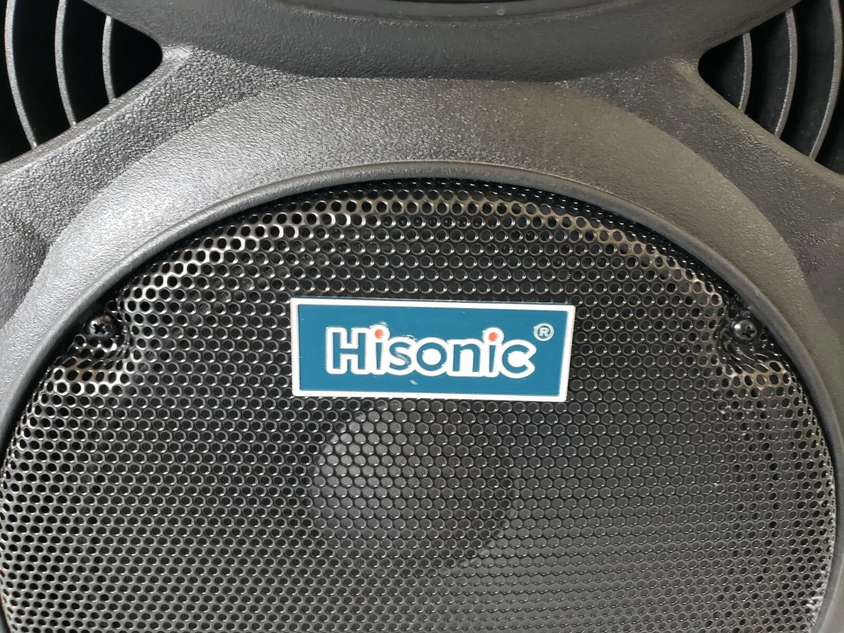 Hisonic hs420 pa best sale system