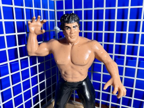 Ricky Dragon Steamboat Vintage WWF LJN Titan Sport...