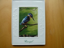 Bild Eisvogel Höchster Porzellan für Licher...