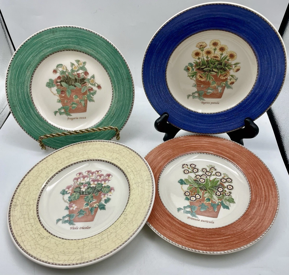 25+ Wedgwood Sarah S Garden for sale | Updated Oct 2026