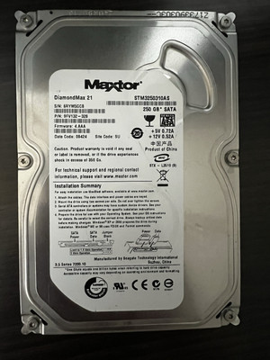 Seagate Maxtor  DiamondMax 21 250GB SATA Festplatte