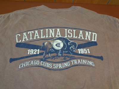 cubs spring training gear