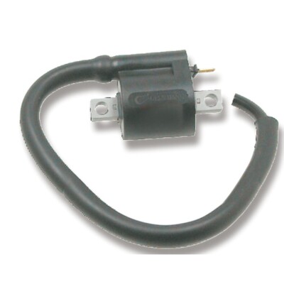 Spule Im Freien 1 Pin Für Yamaha 80 YFM Raptor 2002-2008