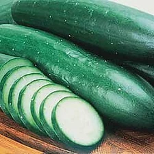 Cucumber Burpless Bush    250 seeds