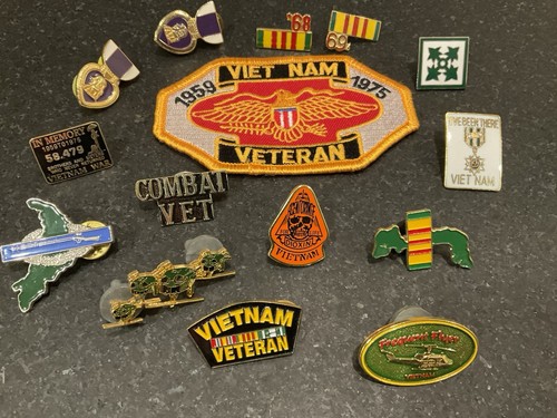 VIETNAM VETERAN COLLECTION OF 14 PINS AND 1 PATCH - 第 1/7 張圖片