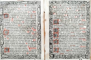 Decorative Double Sheet Original Post Incunabula Hortulus Animae 1516#