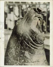 1931 Press Photo Elephant seal, eats 400 pounds of fish daily - lra96821