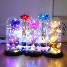 Rose Flower In Glass Gifts For Women Wife Her Valentine Girlfriend Birthday Gift