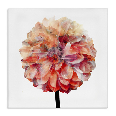 Stupell Industries Bright Coral Watercolor Bloom Designed By Kimberly Allen 24