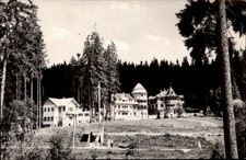 RPPC Borsec Vile din statiune vintage real photo postcard h870