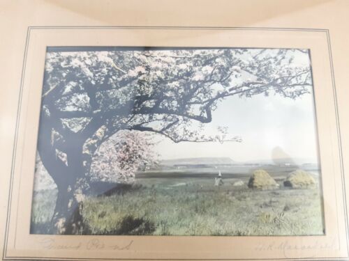 Vintage Wallace R. Macaskill Tinted Photograph Signed & Titled - Picture 3 of 8