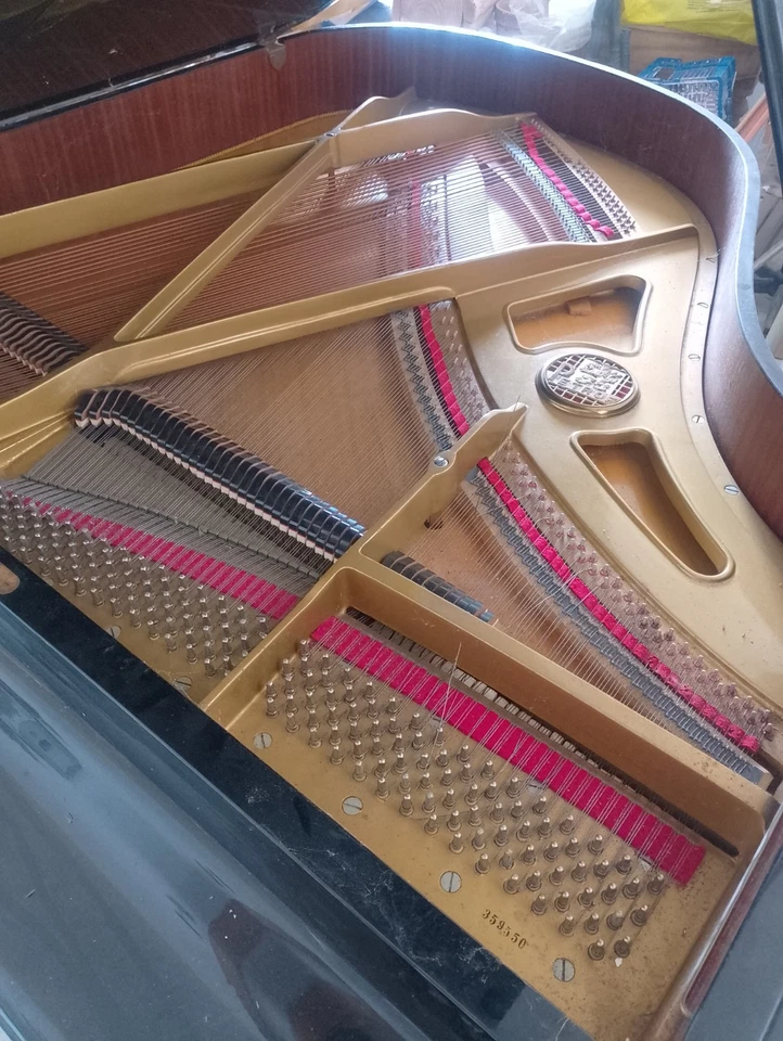 pianoforte a coda usato - Immagine 3 di 4