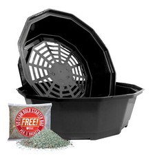 Black Bulb Planting Baskets | Daffodils, Tulips, Crocus, & Snowdrops