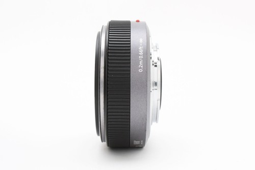 Panasonic Lumix G 20mm/F1.7 Wide-Angle Pancake Lens for Micro Four Thirds - Picture 11 of 12