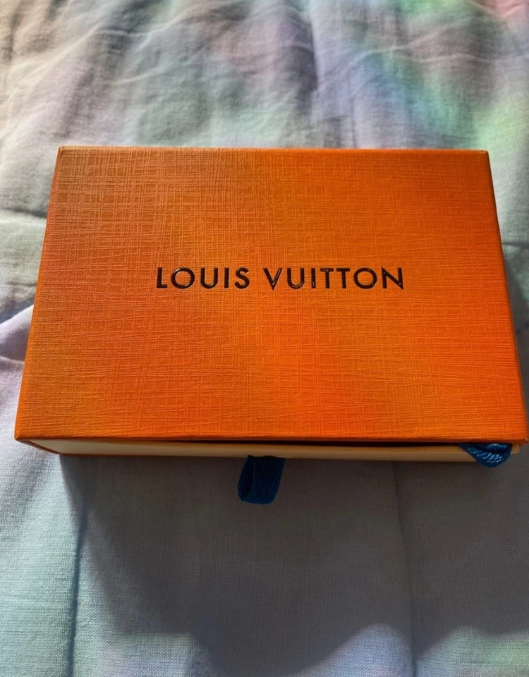 louis vuitton - Immagine 2 di 4