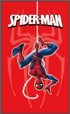 Spiderman Spider Background 3x5 Ft. Flag Room Decor Banner