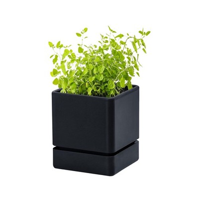 4 Inch Herb Planter Pot, Plastic Planter with Drainage Holes and Saucer, Mode...
