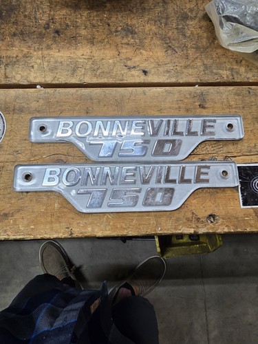 TRIUMPH 750 T140 BONNEVILLE SIDECOVER BADGE SILVER GRAY (1) PN# 83-7252 F17252