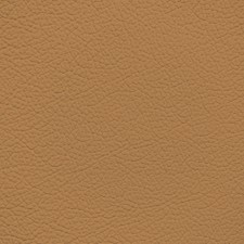 Nissan Tan Leather Dye