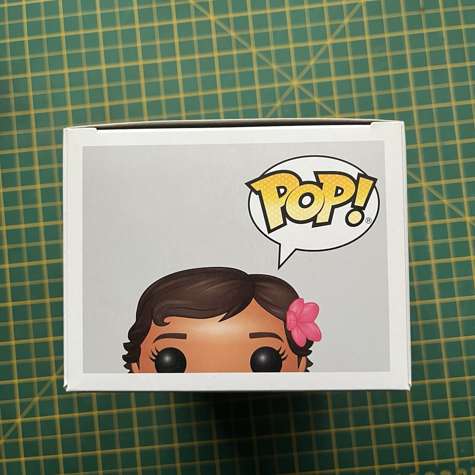 Picture 6 of 6