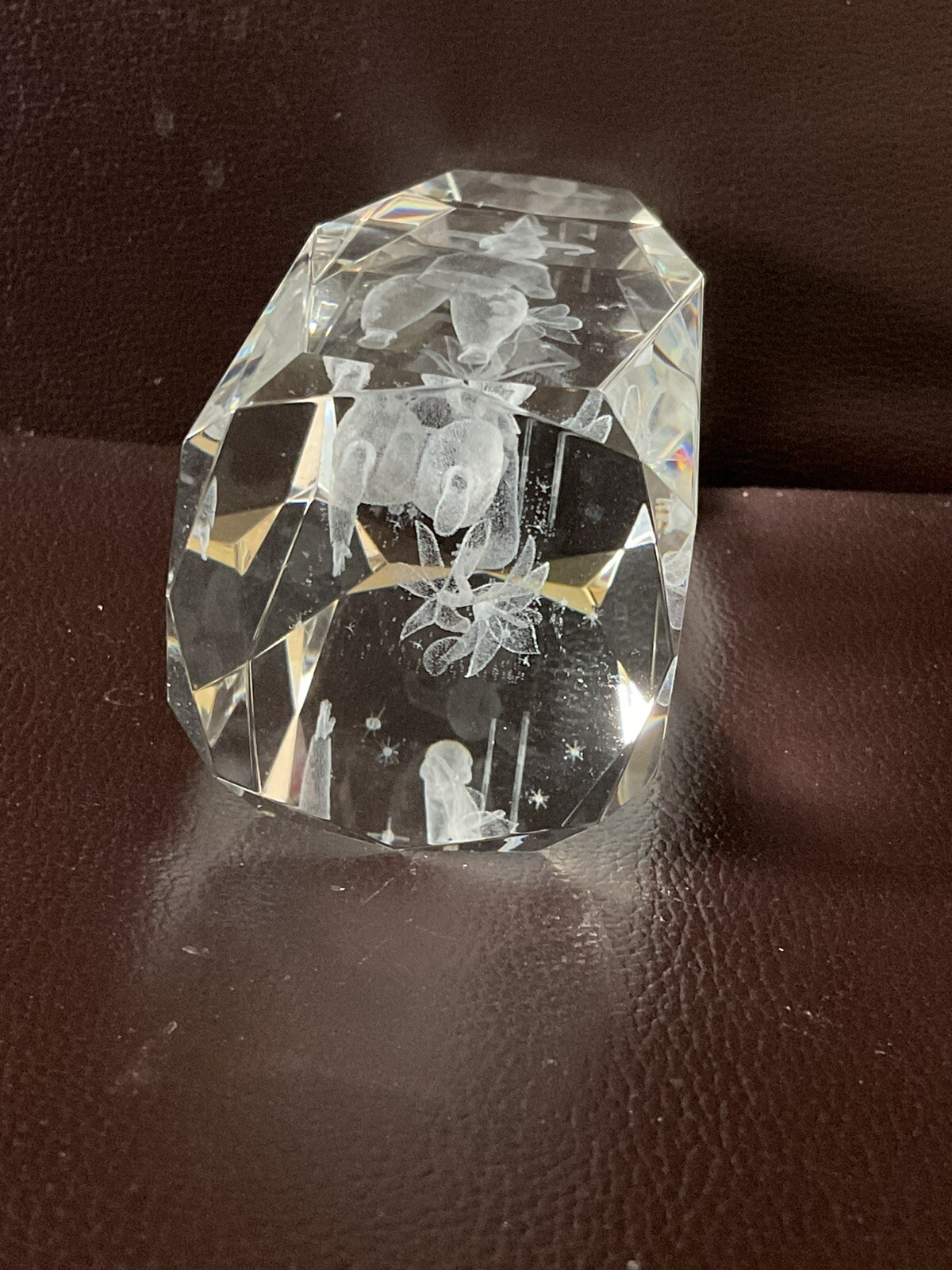 Picture 6 of 6