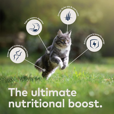 ZIWI Peak Wet Cat Food   All Natural, High Protein, Grain Free, Limited Ingre...