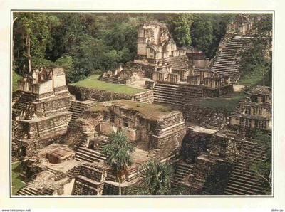 AK - Guatemala - Tikal - La antique metropole Maya Au heart de la jun