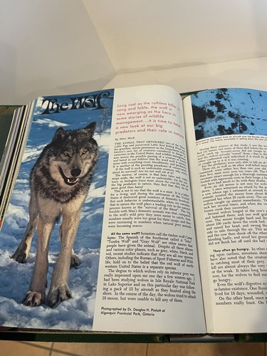 National Wildlife Federation Magazines 3 Binders 1962-1970 Excellent Condition - Imagen 12 de 12