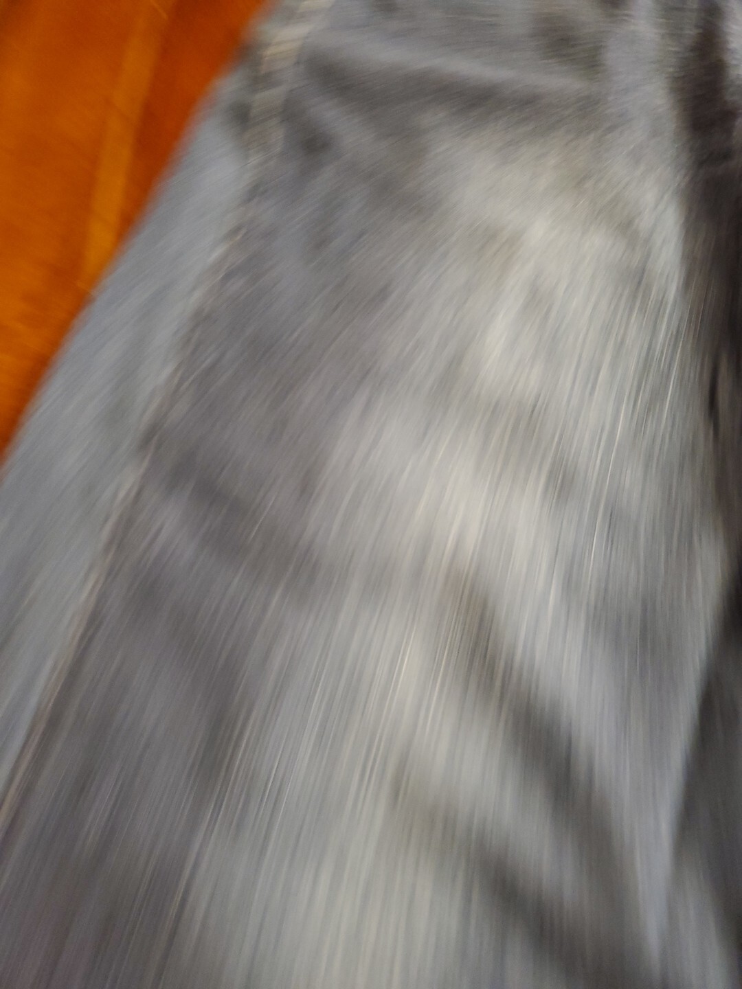Bild 9 von 19